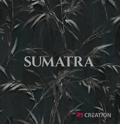 Коллекция Sumatra на сайте OboiVkus.by