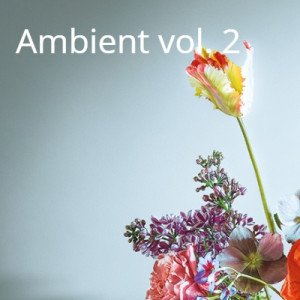 Коллекция Ambient II на сайте OboiVkus.by