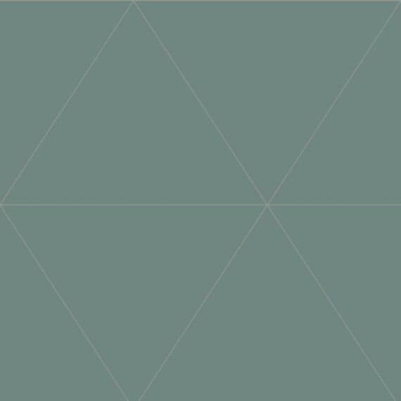 Обои FD24225_0 на сайте OboiVkus.by