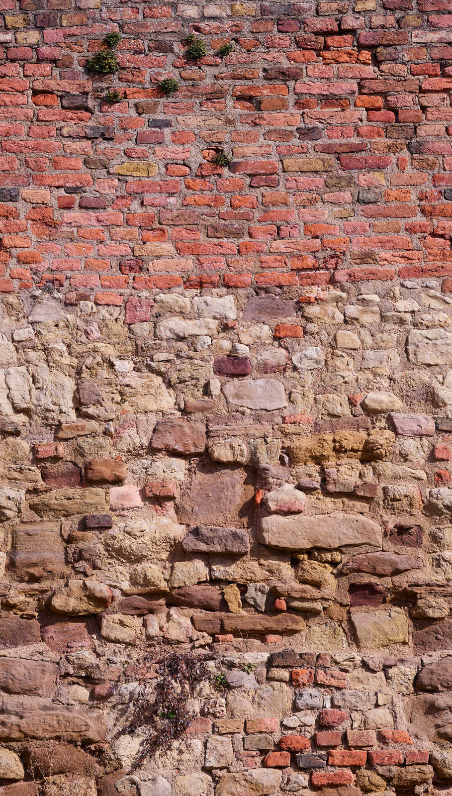Фотообои и панно 392461 (The Wall 2)_0 на сайте OboiVkus.by