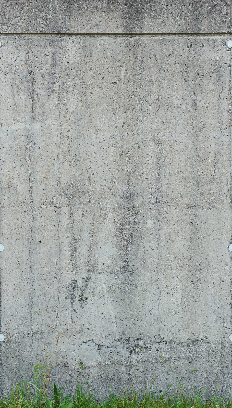 Фотообои и панно 392551 (The Wall 2)_0 на сайте OboiVkus.by