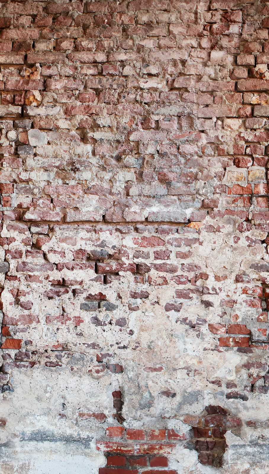 Фотообои и панно 383351 (The Wall)_0 на сайте OboiVkus.by