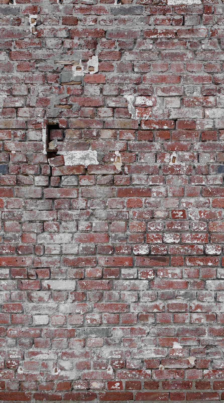 Фотообои и панно 383371 (The Wall)_0 на сайте OboiVkus.by