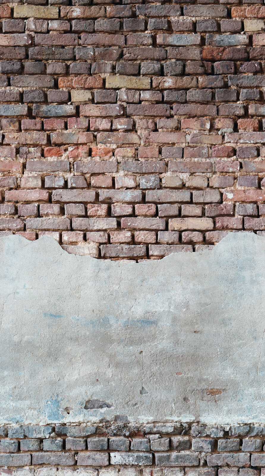 Фотообои и панно 383341 (The Wall 2)_0 на сайте OboiVkus.by