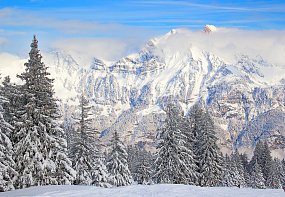 Фрески ID13534_0 на сайте OboiVkus.by