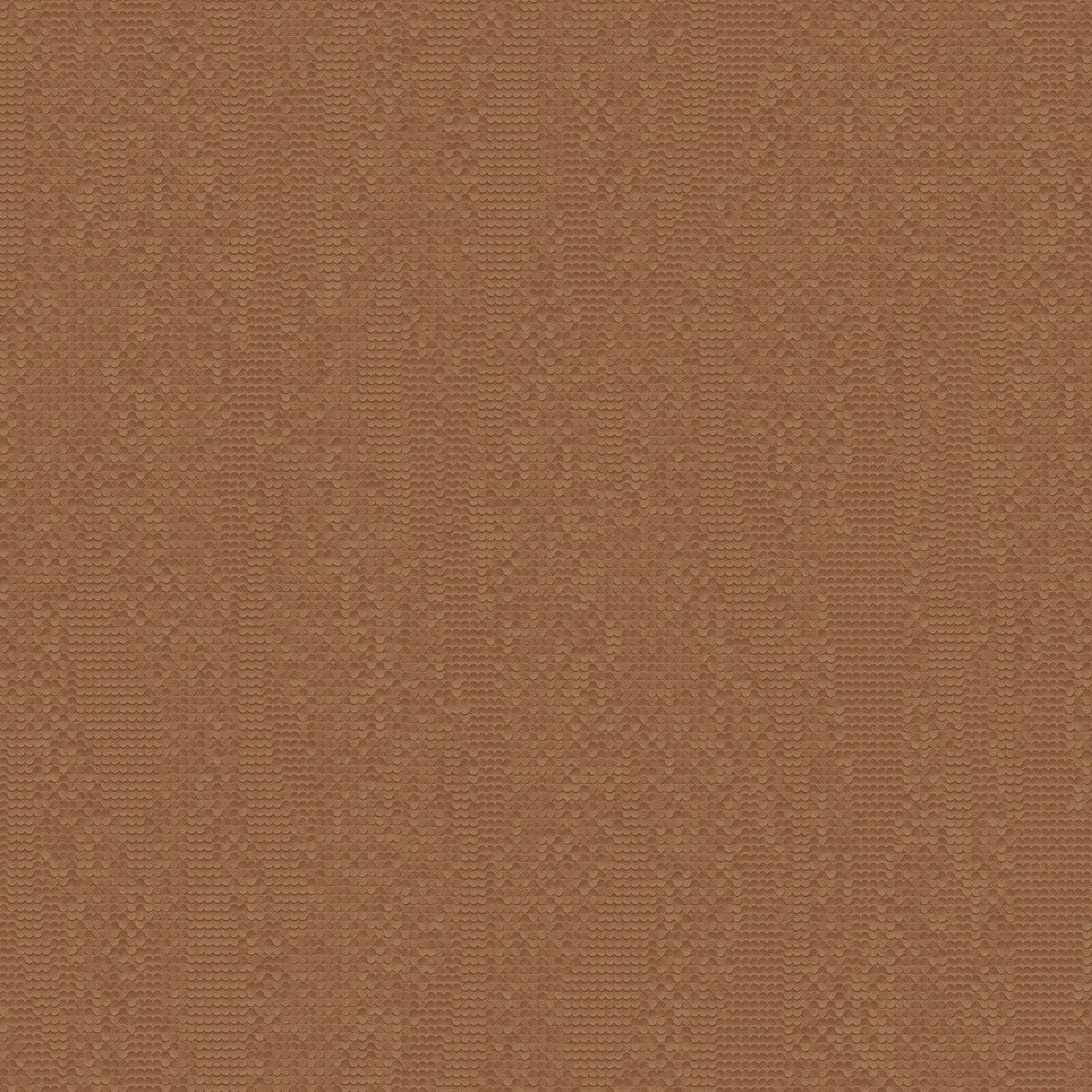 Z54526