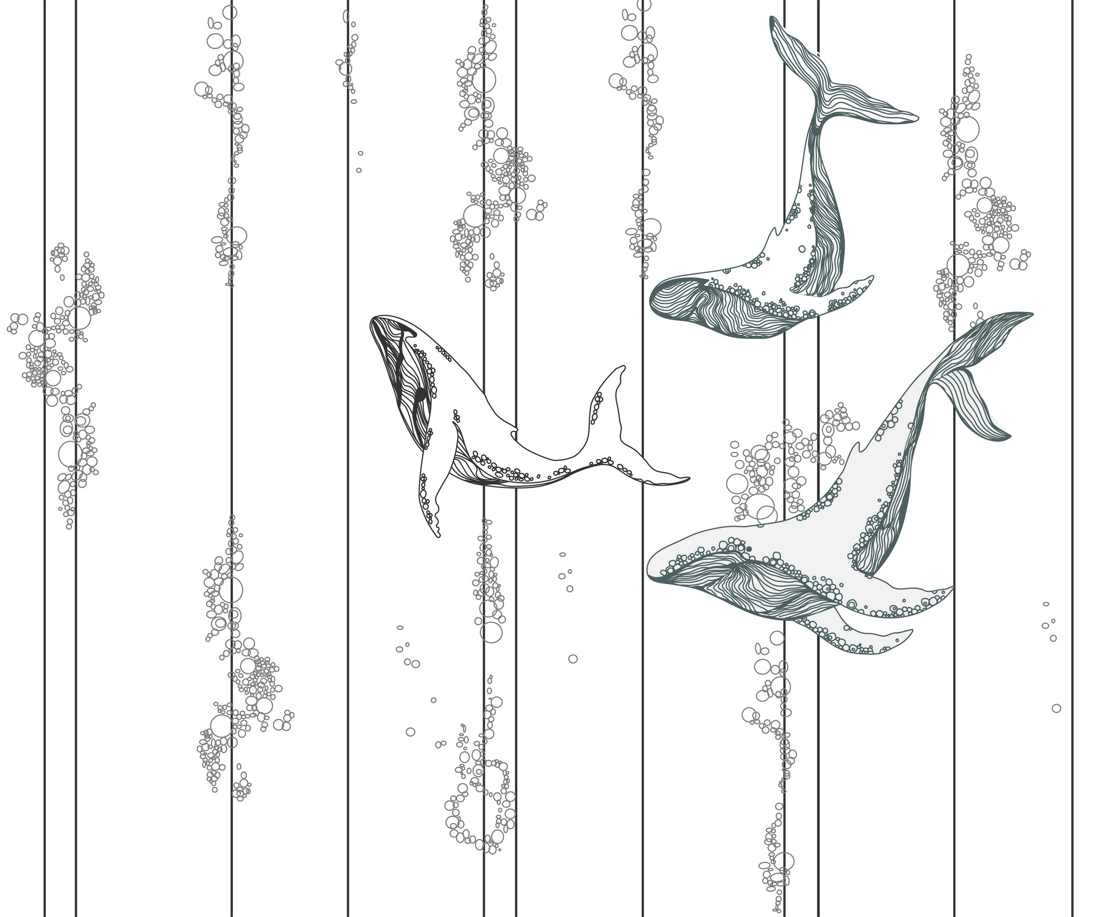 00405 s 00405 s