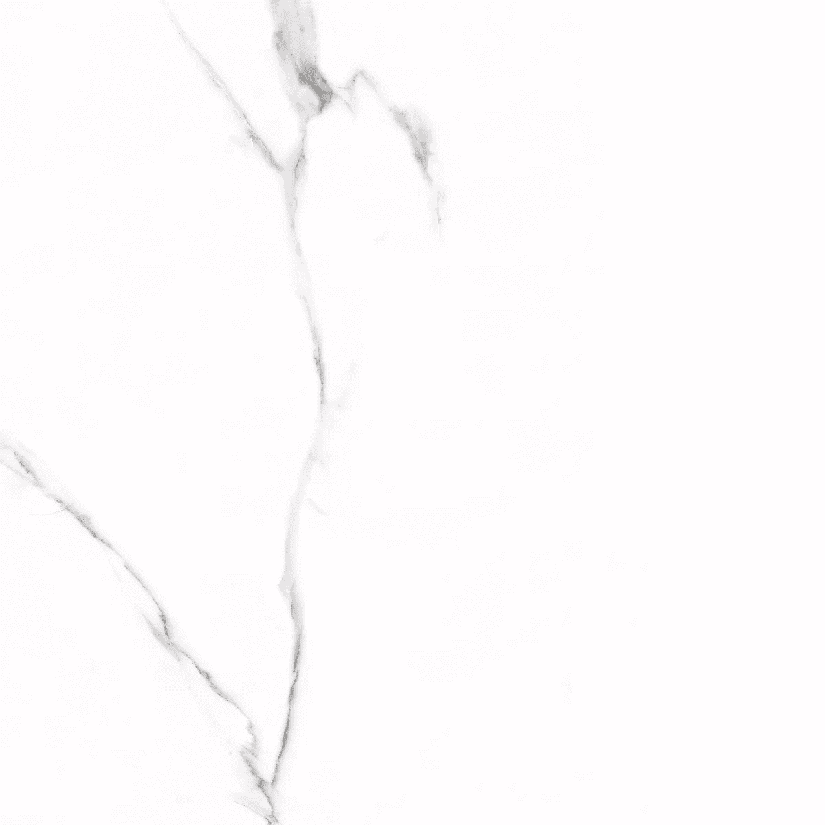 Керамогранит и плитка Carrara 60*60_1 на сайте OboiVkus.by
