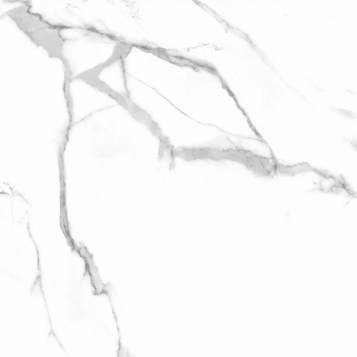Керамогранит и плитка Carrara 60*60_3 на сайте OboiVkus.by