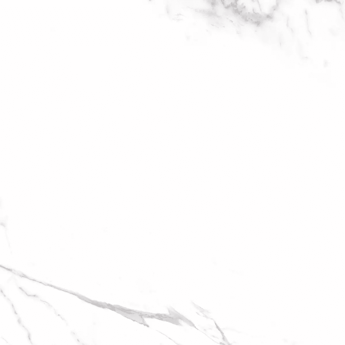 Керамогранит и плитка Carrara 60*60_5 на сайте OboiVkus.by