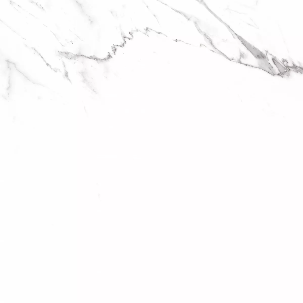 Керамогранит и плитка Carrara 60*60_10 на сайте OboiVkus.by