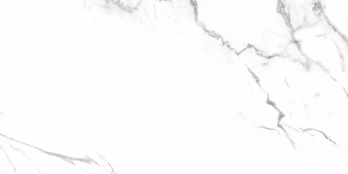 Керамогранит и плитка Carrara 60*120_2 на сайте OboiVkus.by