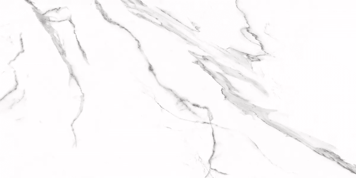 Керамогранит и плитка Carrara 60*120_4 на сайте OboiVkus.by