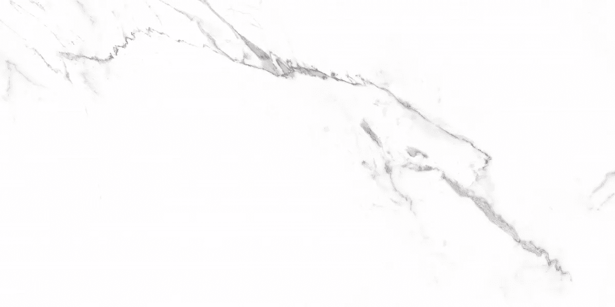 Керамогранит и плитка Carrara 60*120_5 на сайте OboiVkus.by
