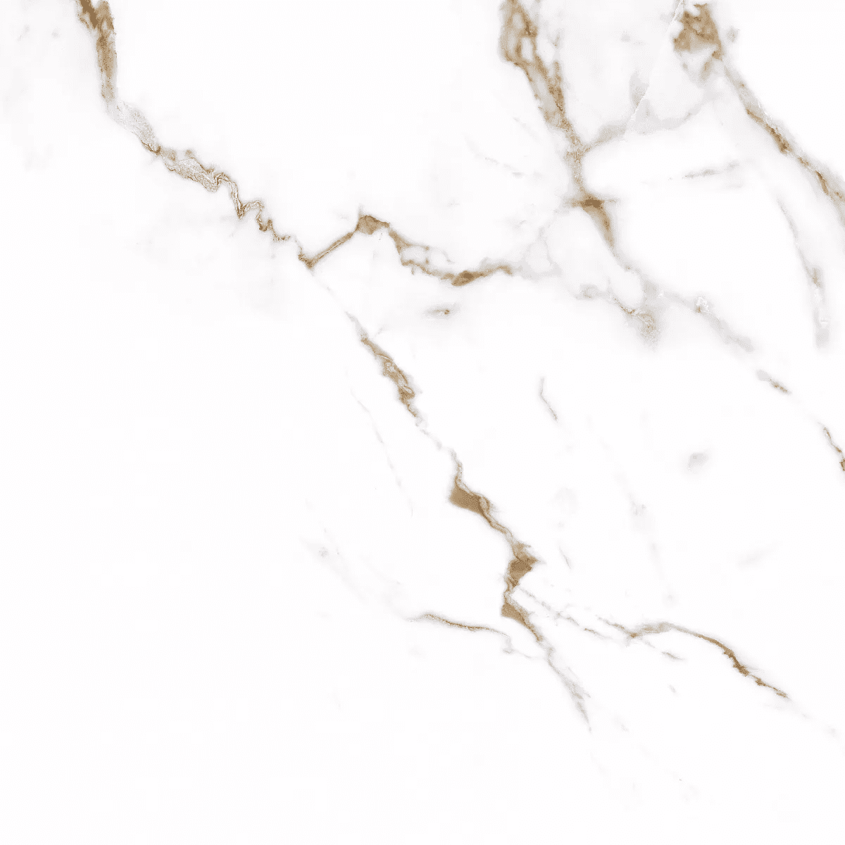 Carrara Bronze 60*60