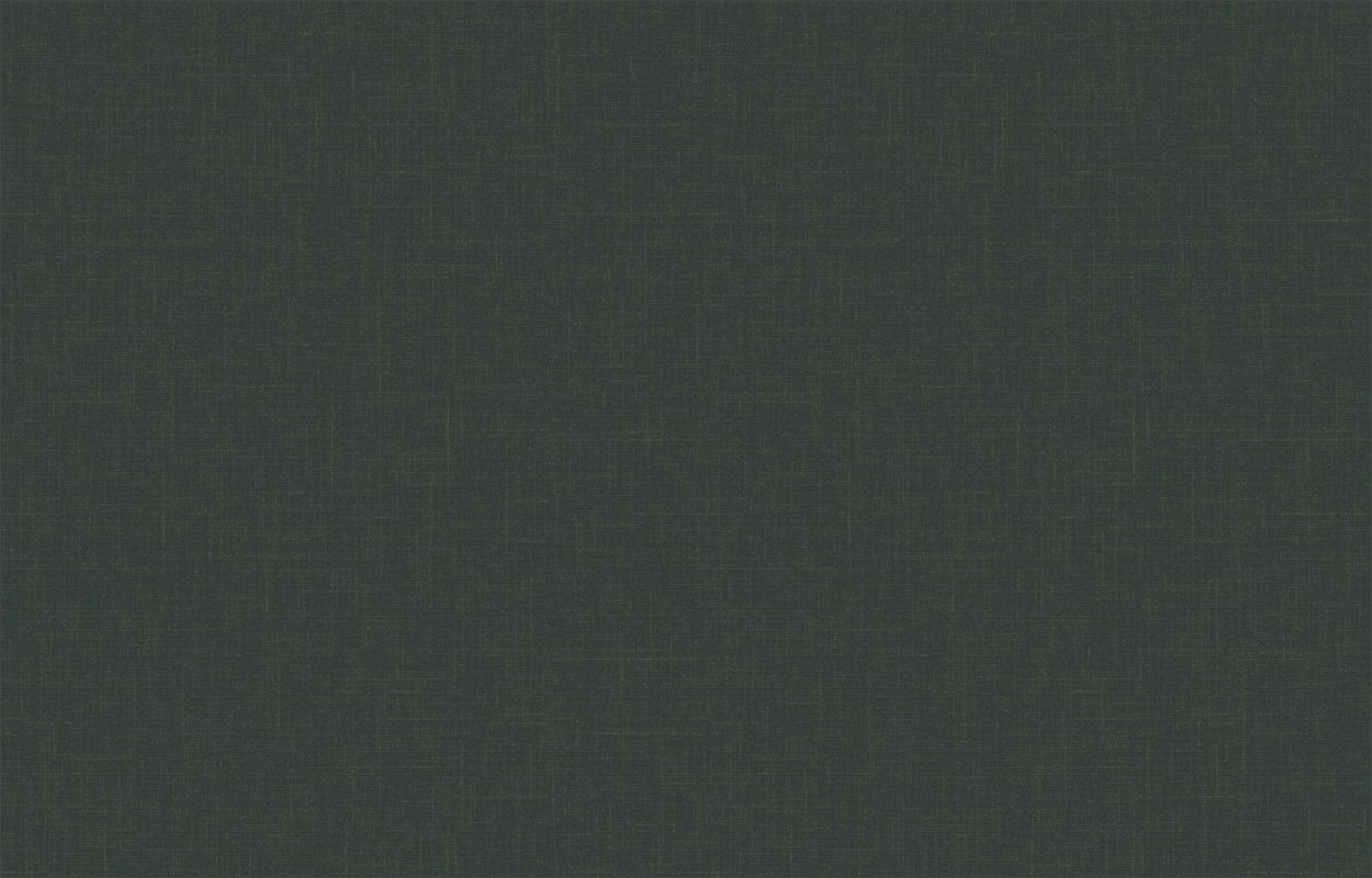 Обои PLZ8 005 на сайте OboiVkus.by