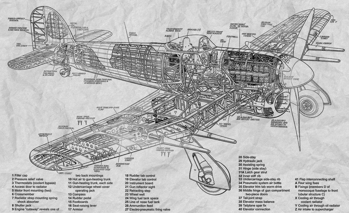 Фрески 19924 (Induction)_0 на сайте OboiVkus.by