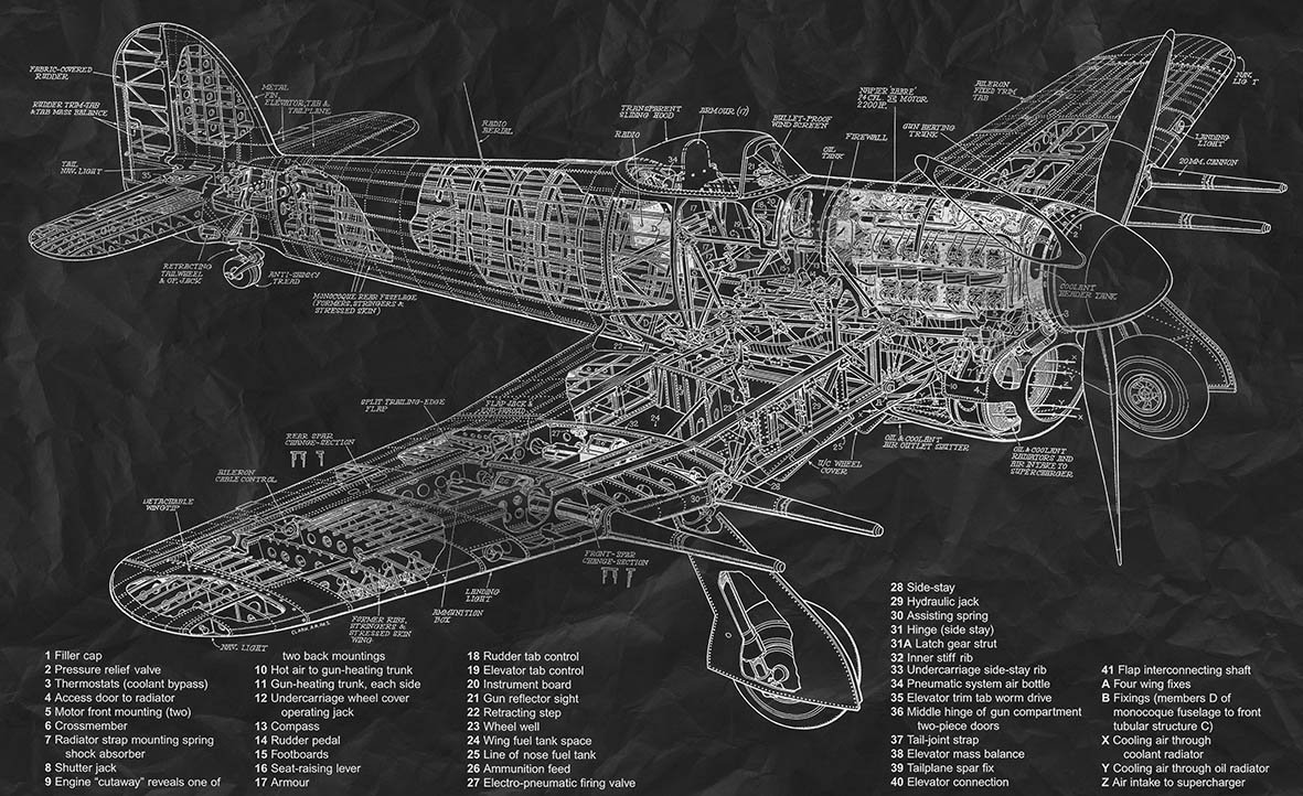 Фрески 19925 (Induction)_0 на сайте OboiVkus.by