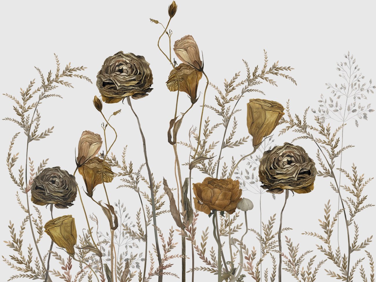 Фрески 24667 (Herbarium)_0 на сайте OboiVkus.by