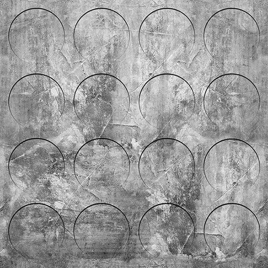 Фрески 16943 (Grayscale)_0 на сайте OboiVkus.by