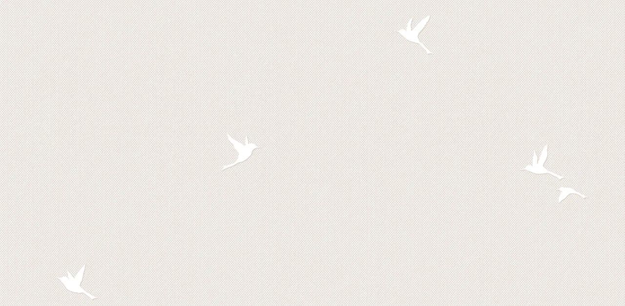 Обои 54458-3 на сайте OboiVkus.by