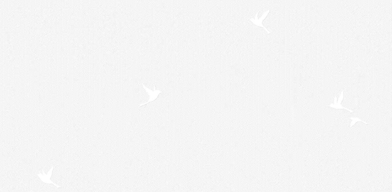 Обои 54458-5 на сайте OboiVkus.by