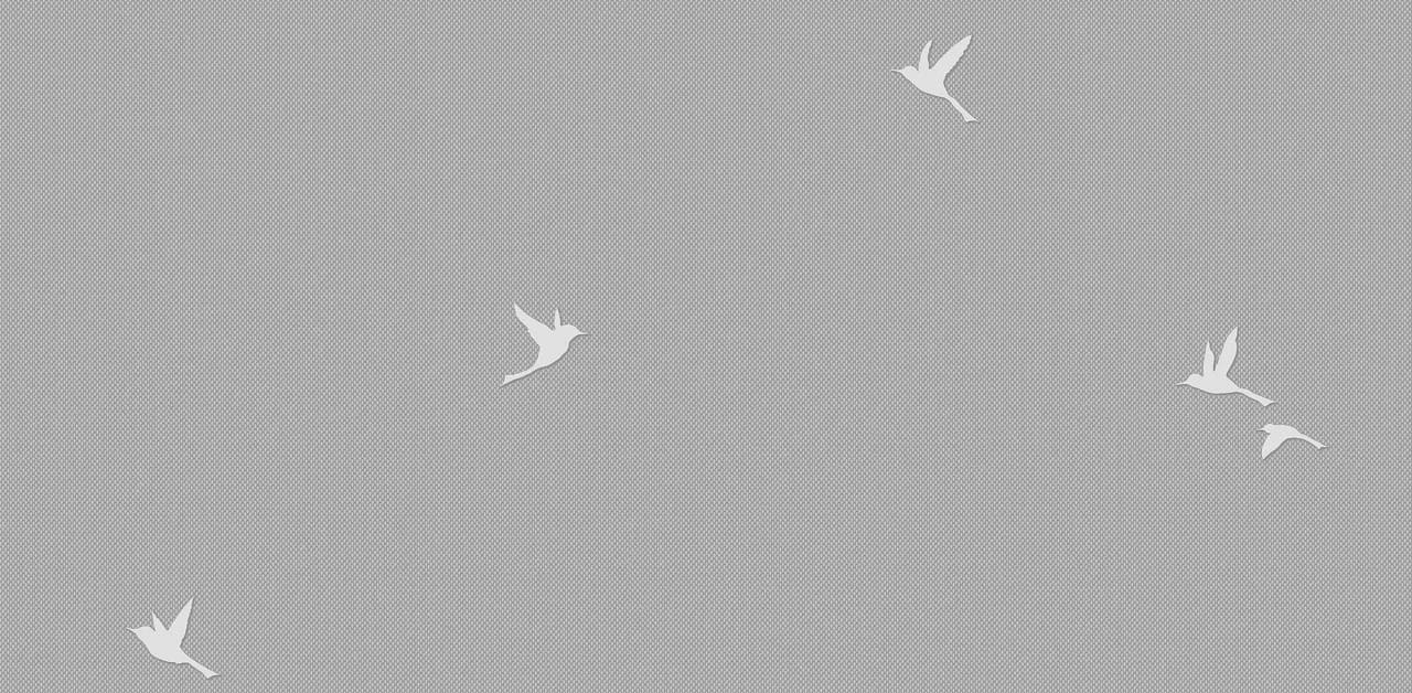 Обои 54458-9 на сайте OboiVkus.by