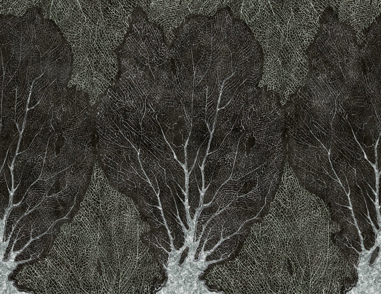 Foresta 8
