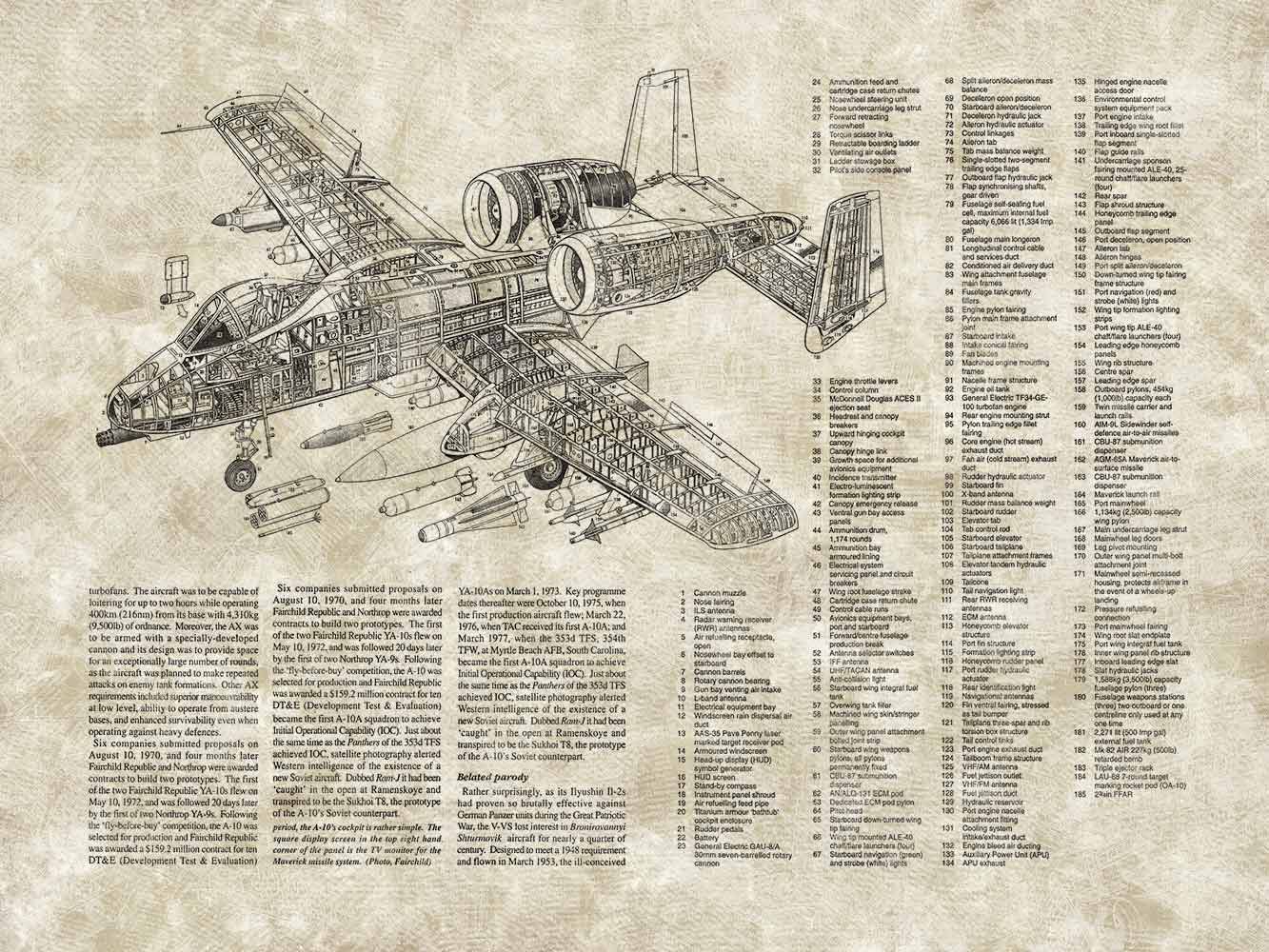 Battle Plane 1