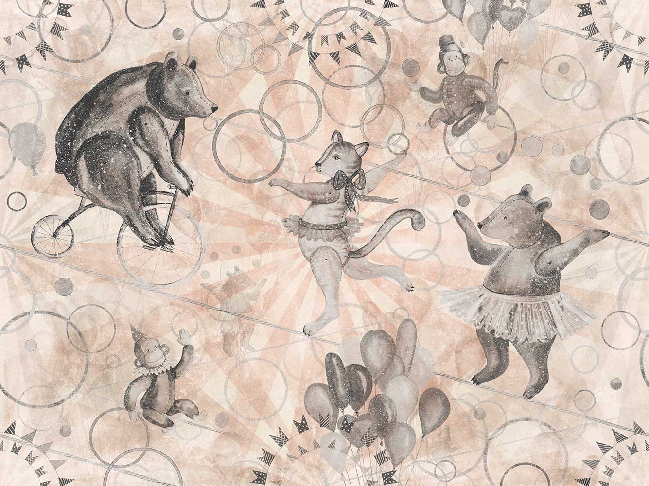 Circus 5