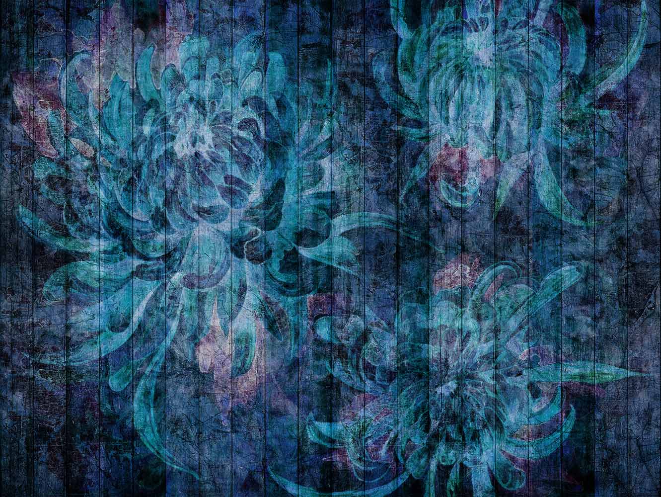 Imaginarium 6 Imaginarium 6