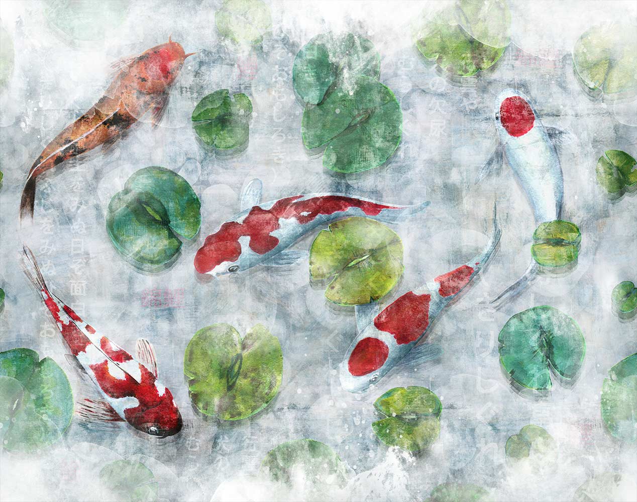 Koi 1