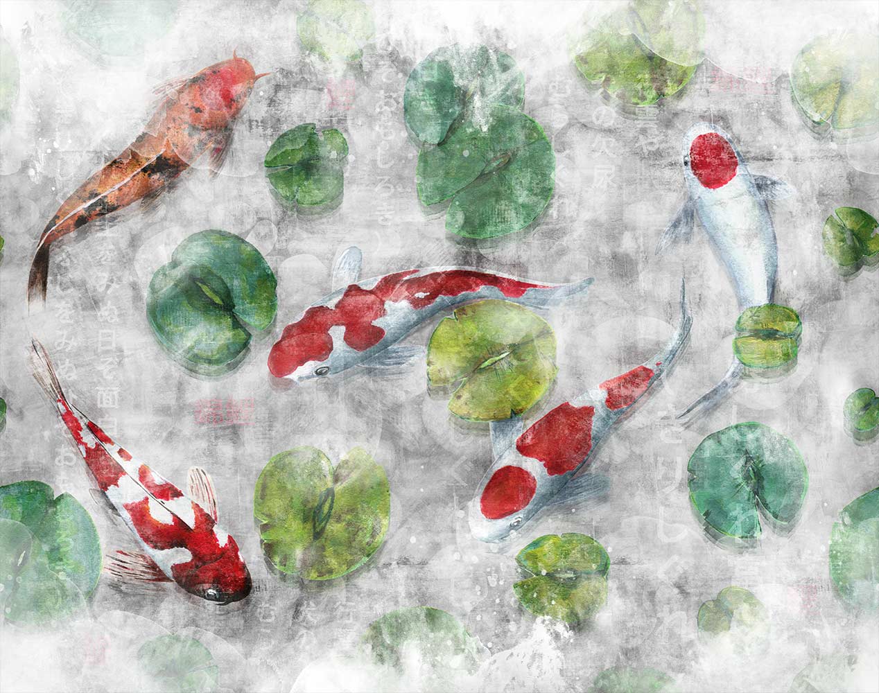 Koi 3