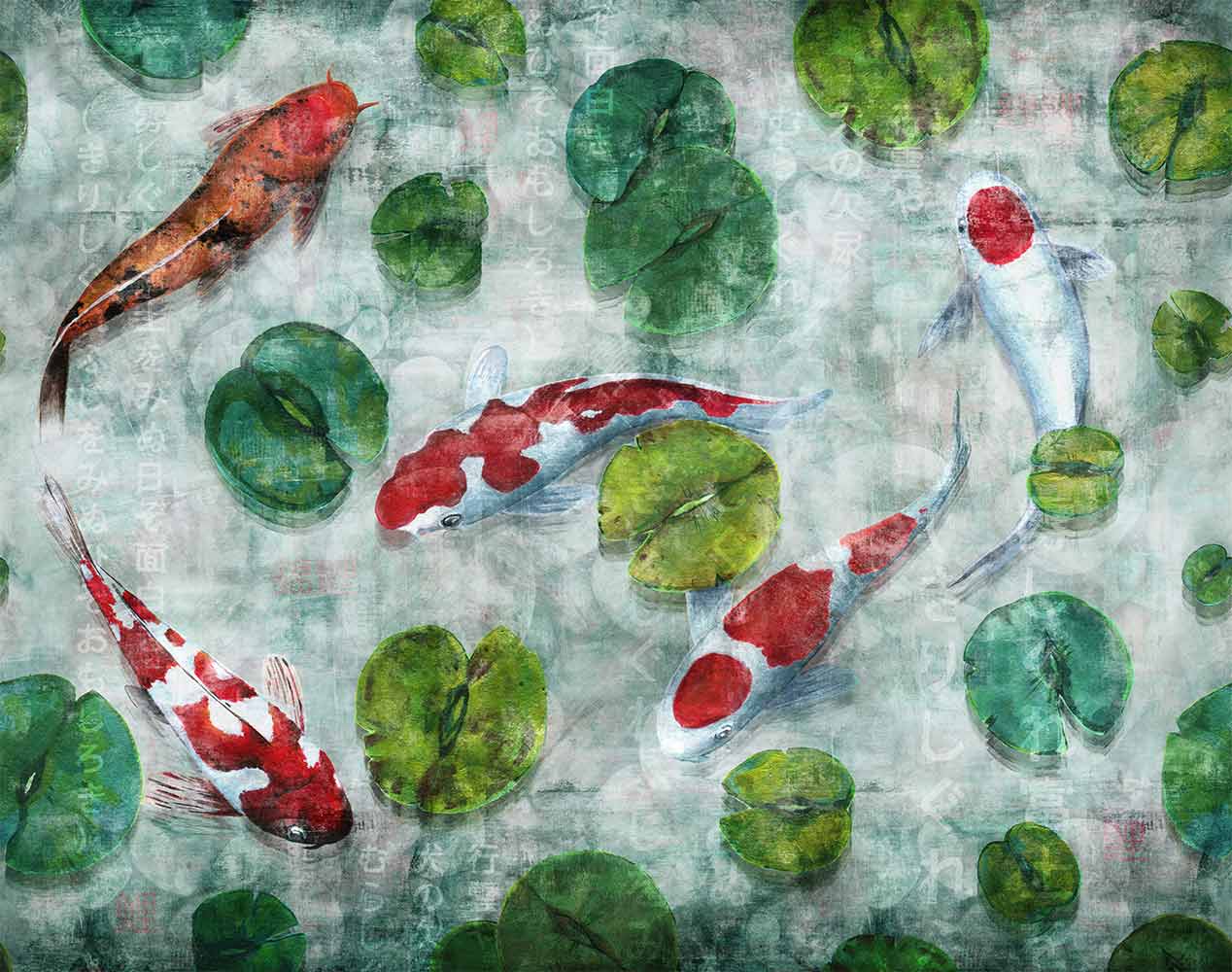 Koi 5