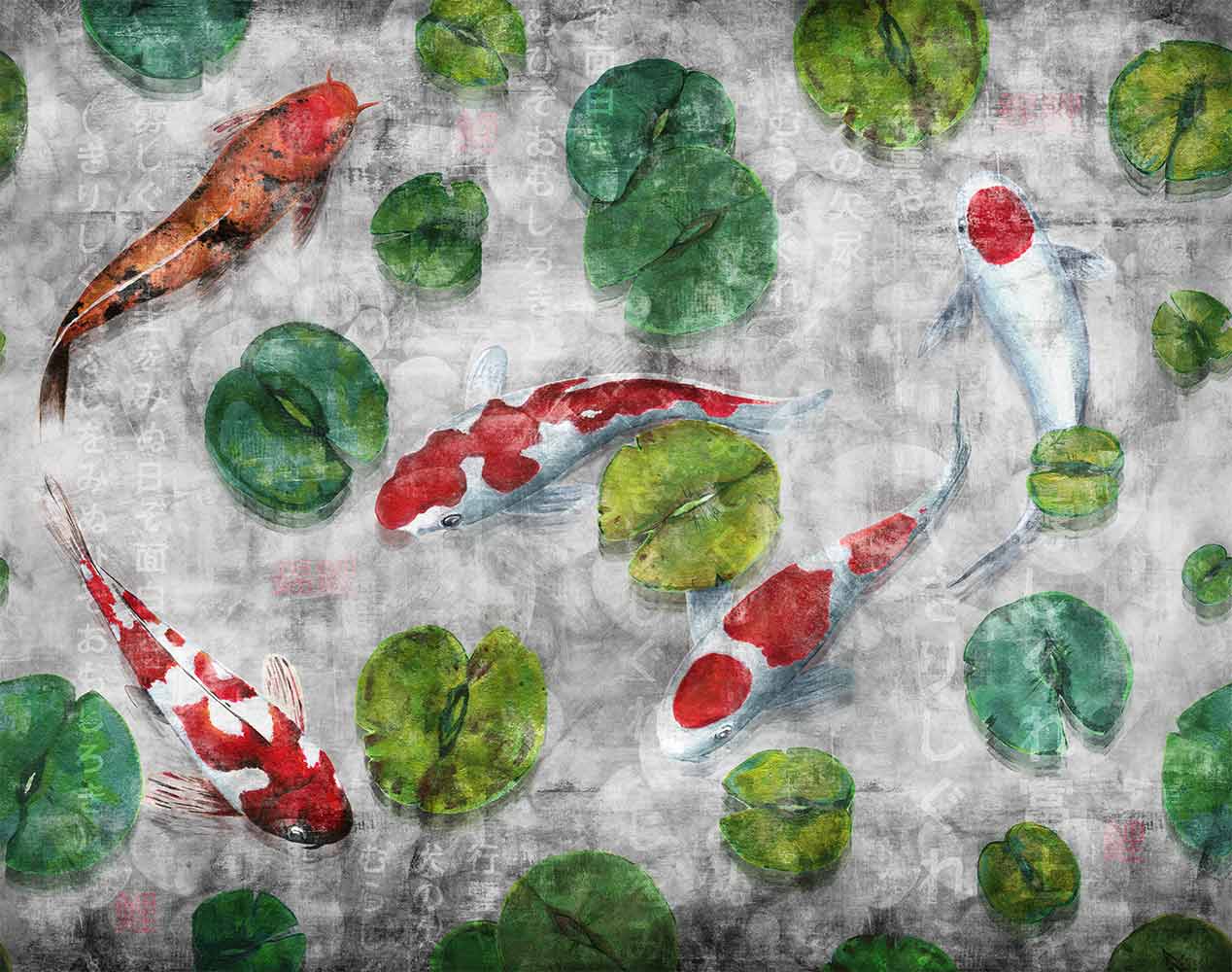 Koi 6