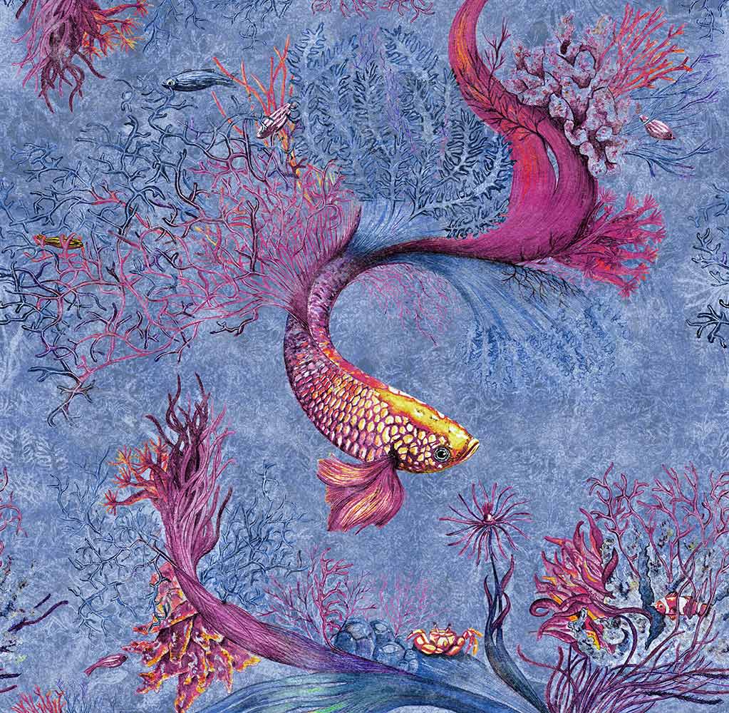 Corals 2