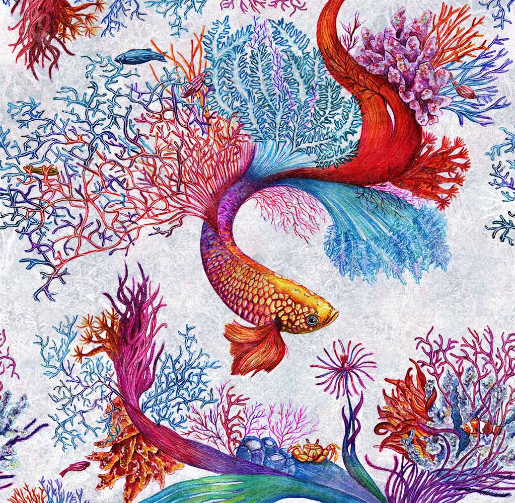 Corals 3