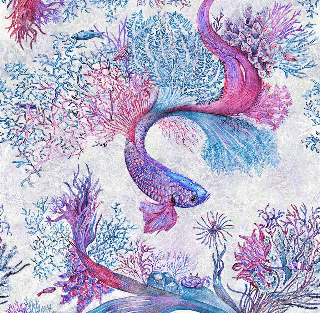 Corals 5