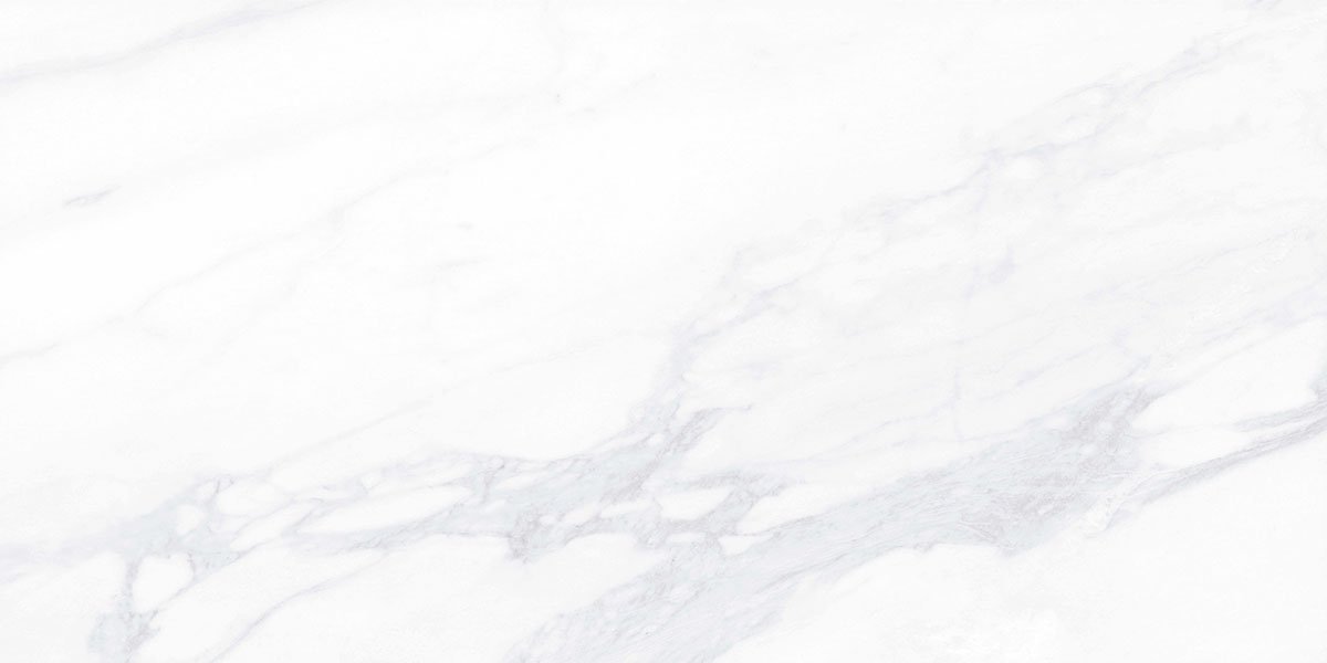 Керамогранит и плитка Payer Elegant MR G281 60*120_4 на сайте OboiVkus.by