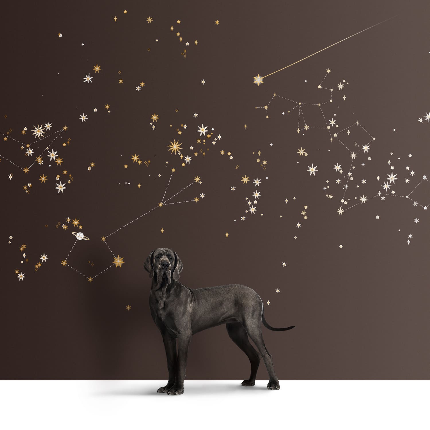 Фотообои и панно GALILEO_8 на сайте OboiVkus.by