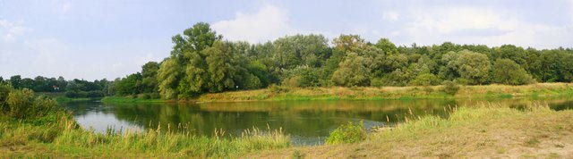 Фотообои и панно 3061_0 на сайте OboiVkus.by
