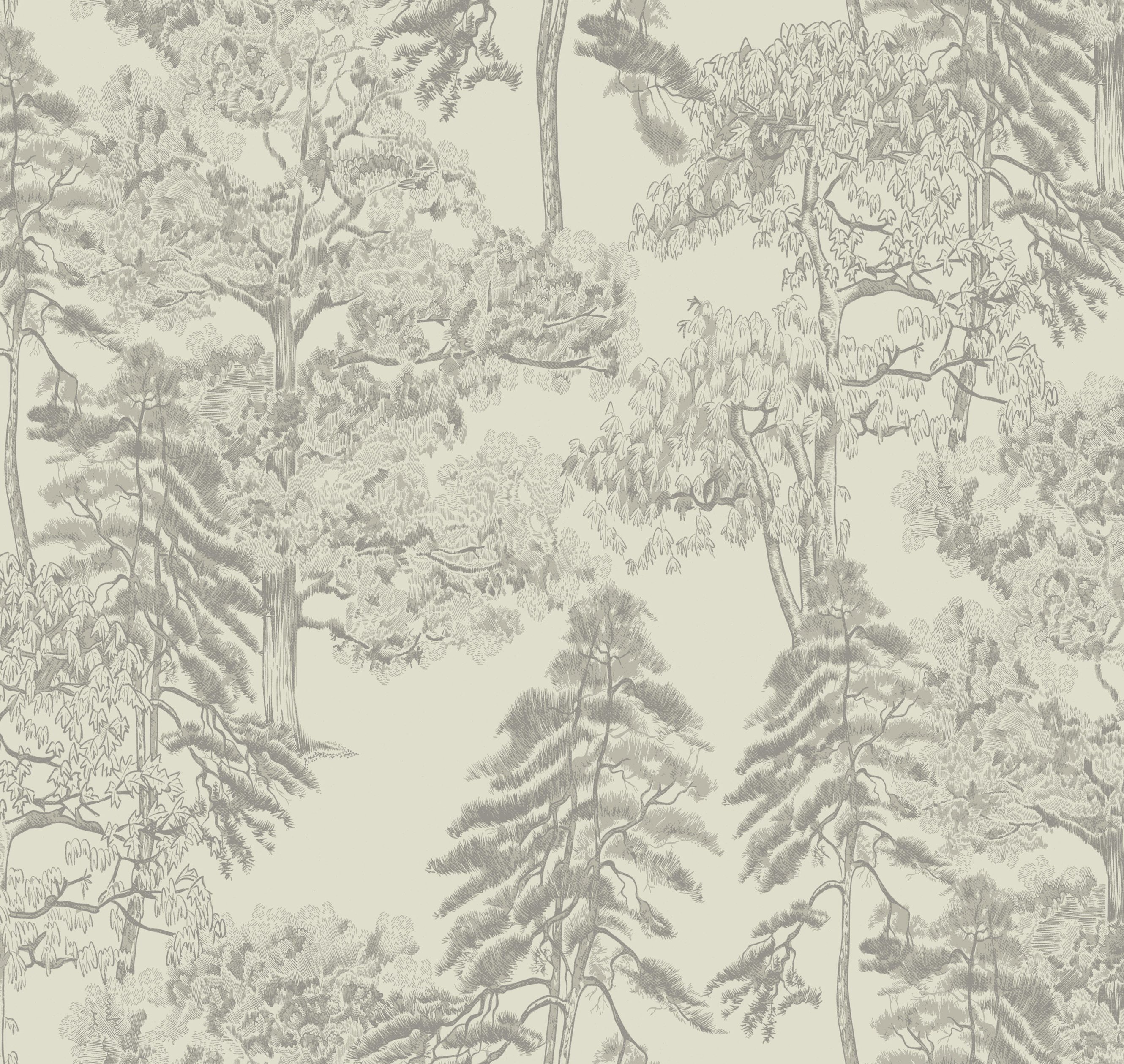 Обои AM5 001_0 на сайте OboiVkus.by