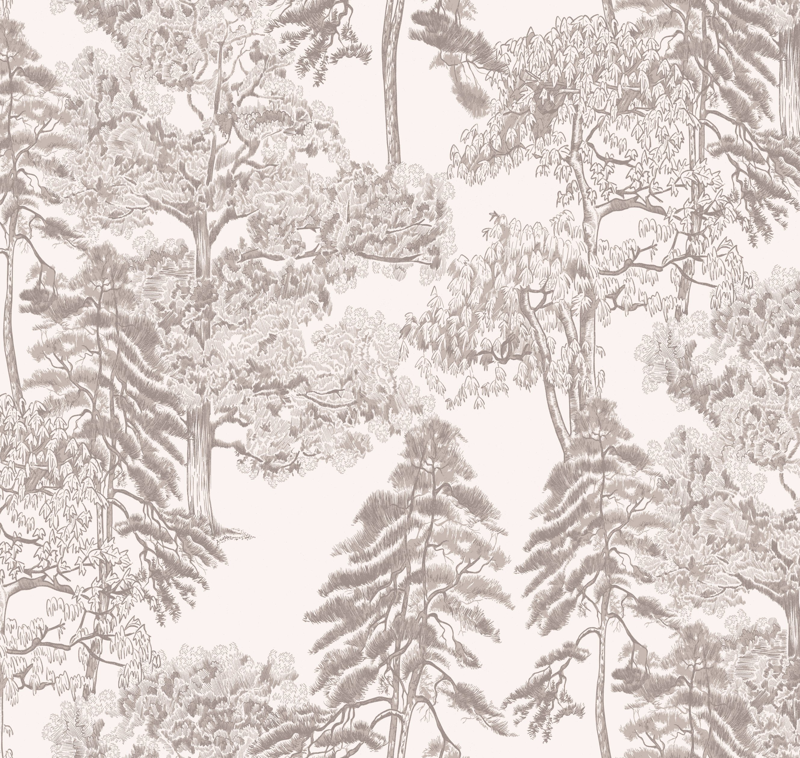 Обои AM5 001/1_0 на сайте OboiVkus.by