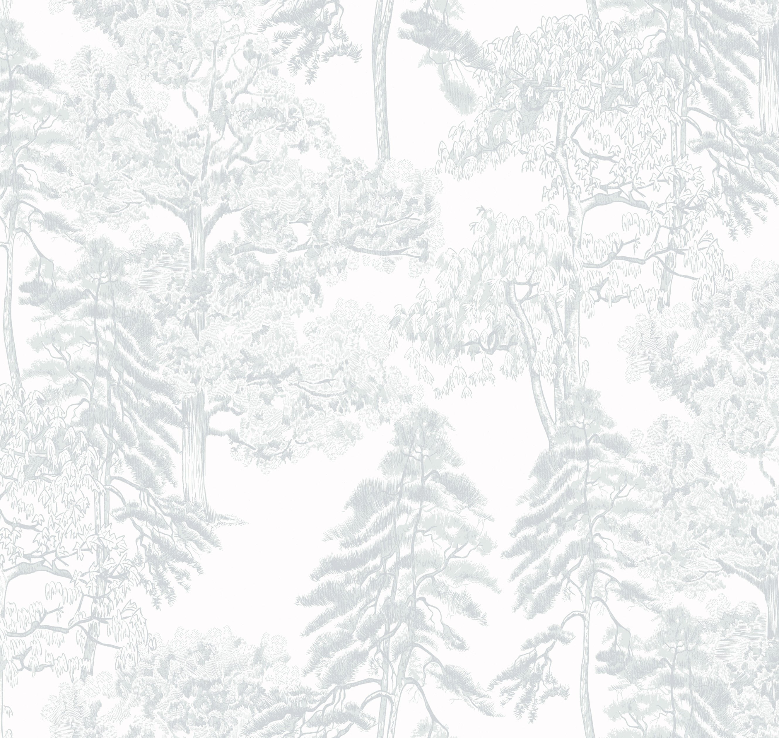 Обои AM5 001/2_0 на сайте OboiVkus.by