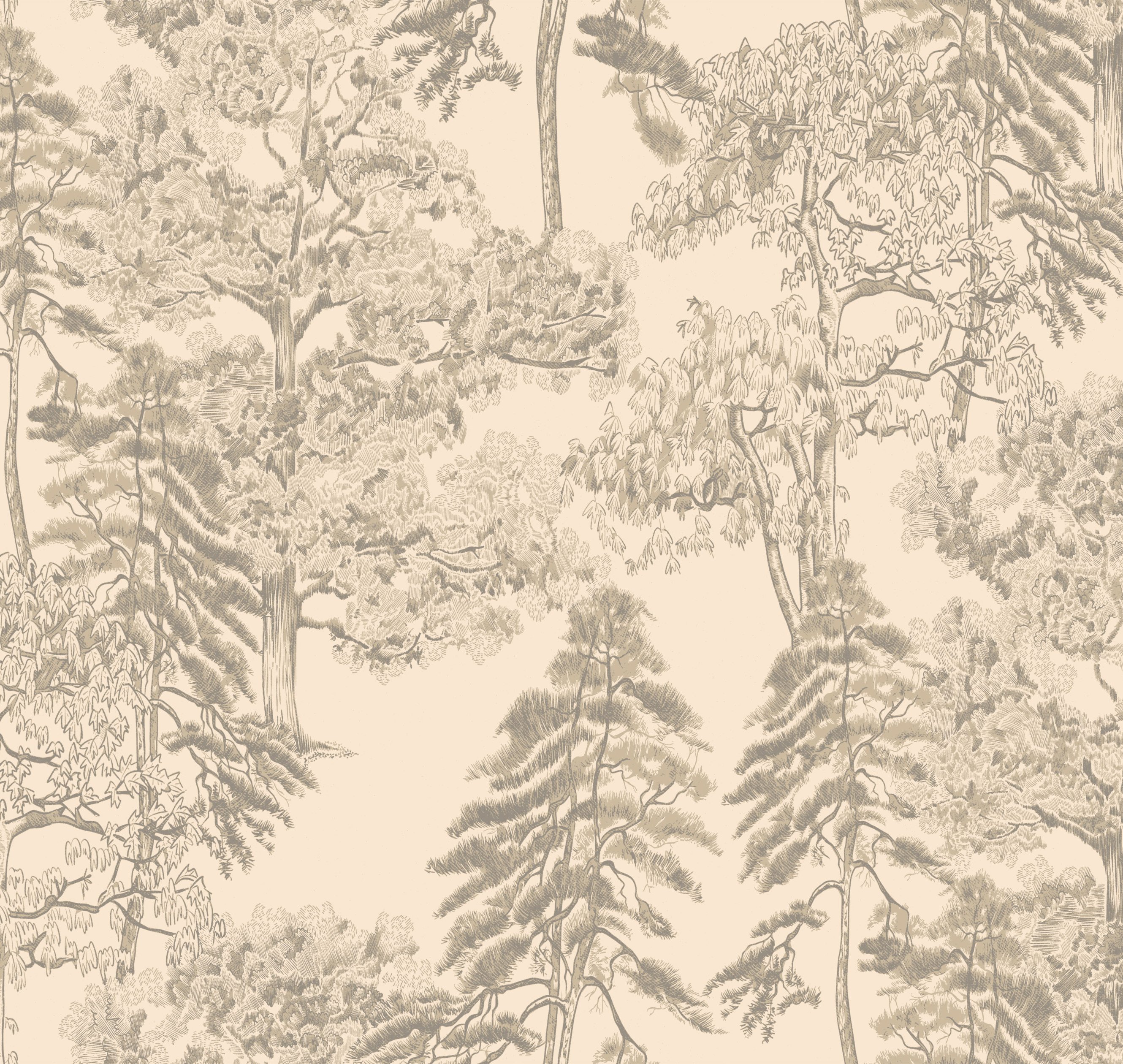 Обои AM5 002/1_0 на сайте OboiVkus.by