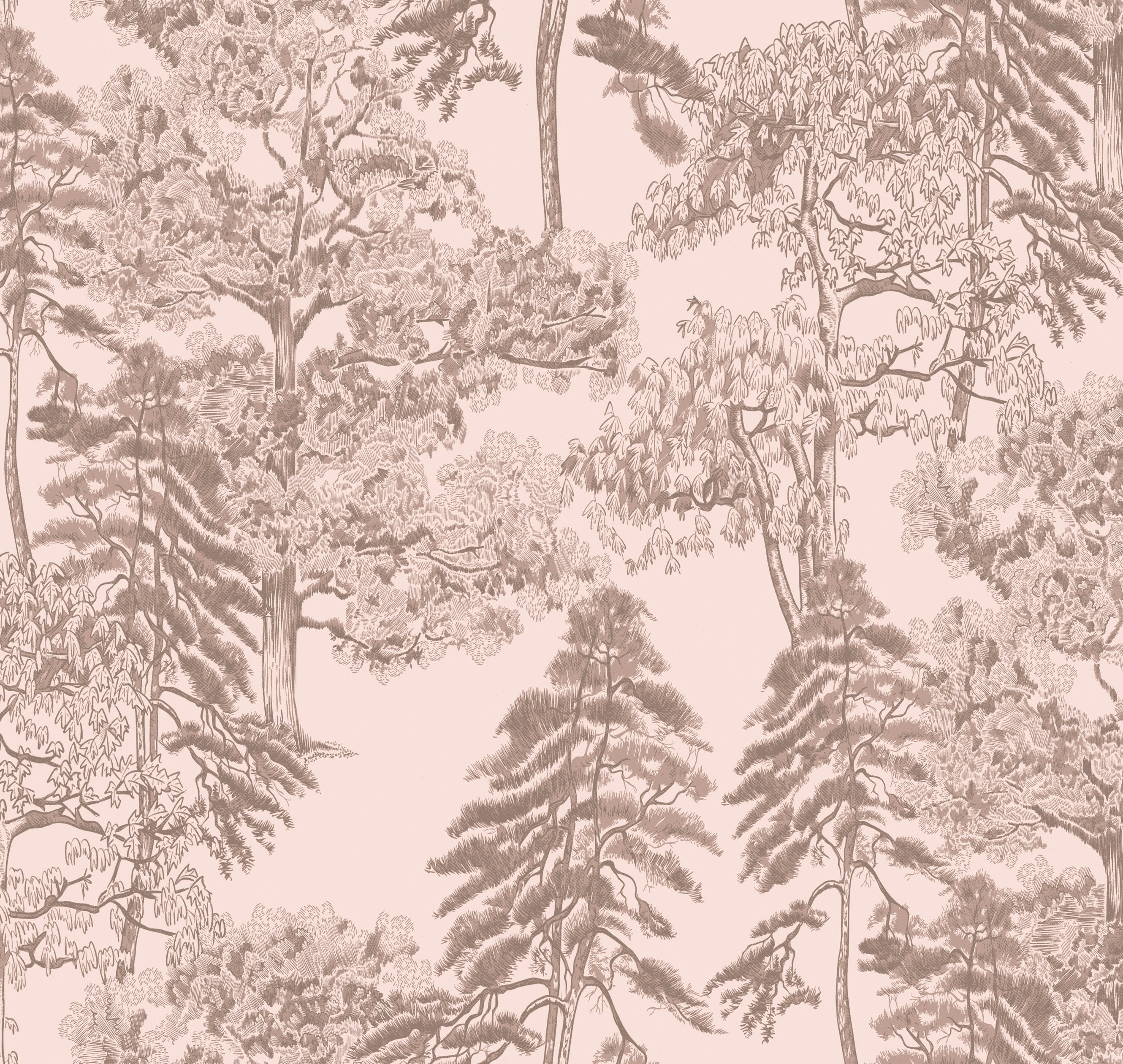 Обои AM5 003_0 на сайте OboiVkus.by