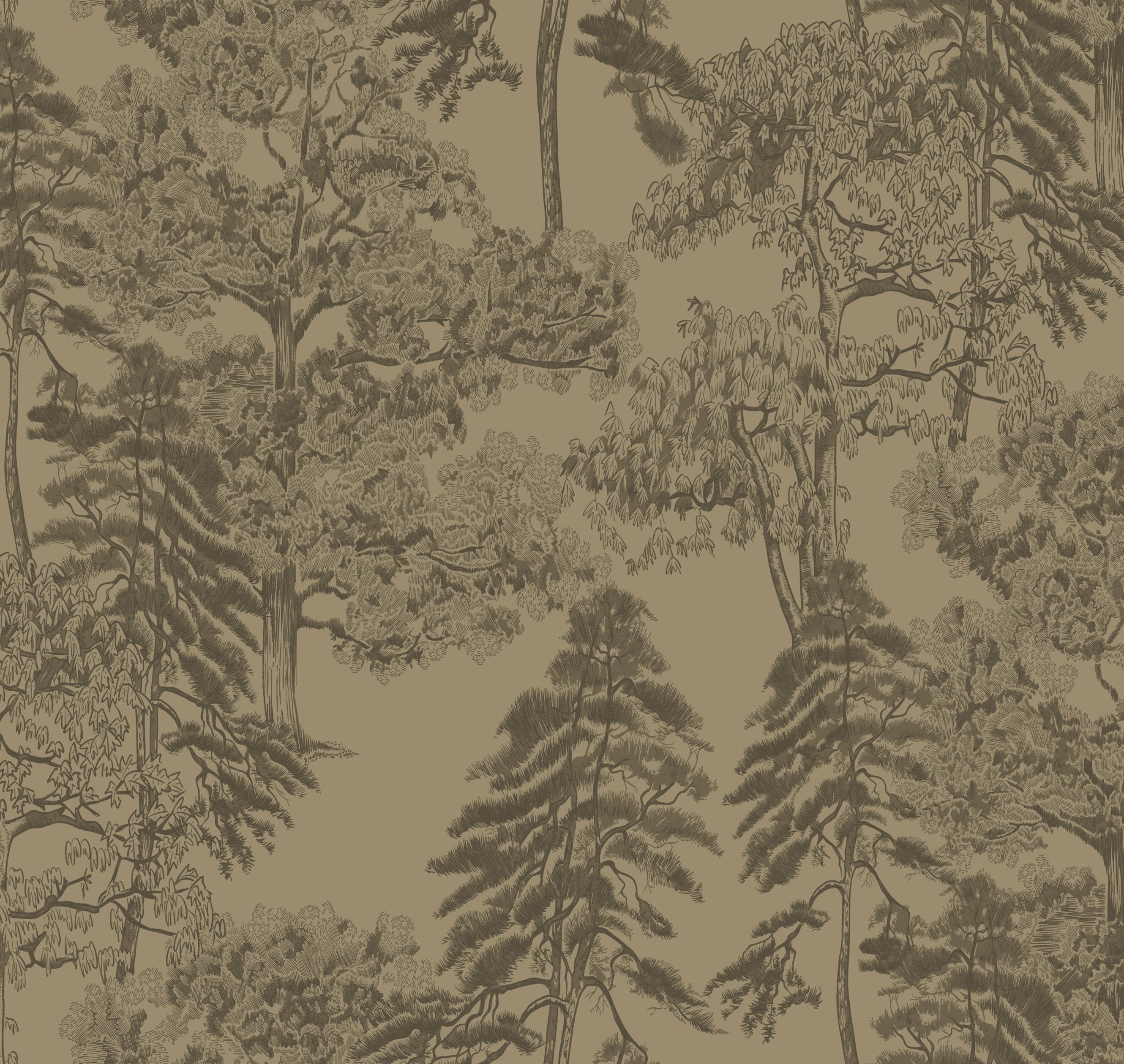 Обои AM5 005/1_0 на сайте OboiVkus.by