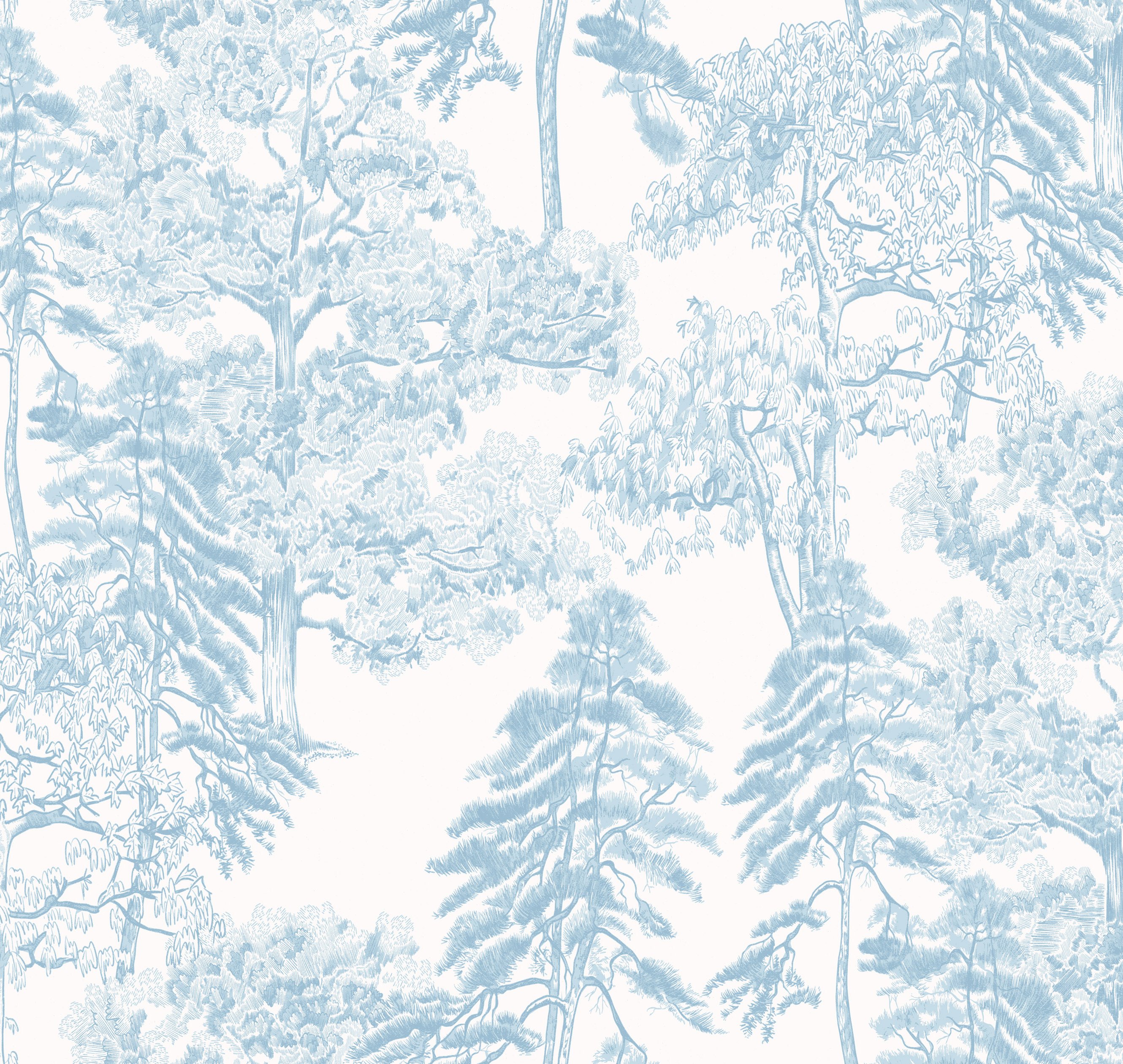 Обои AM5 006_0 на сайте OboiVkus.by