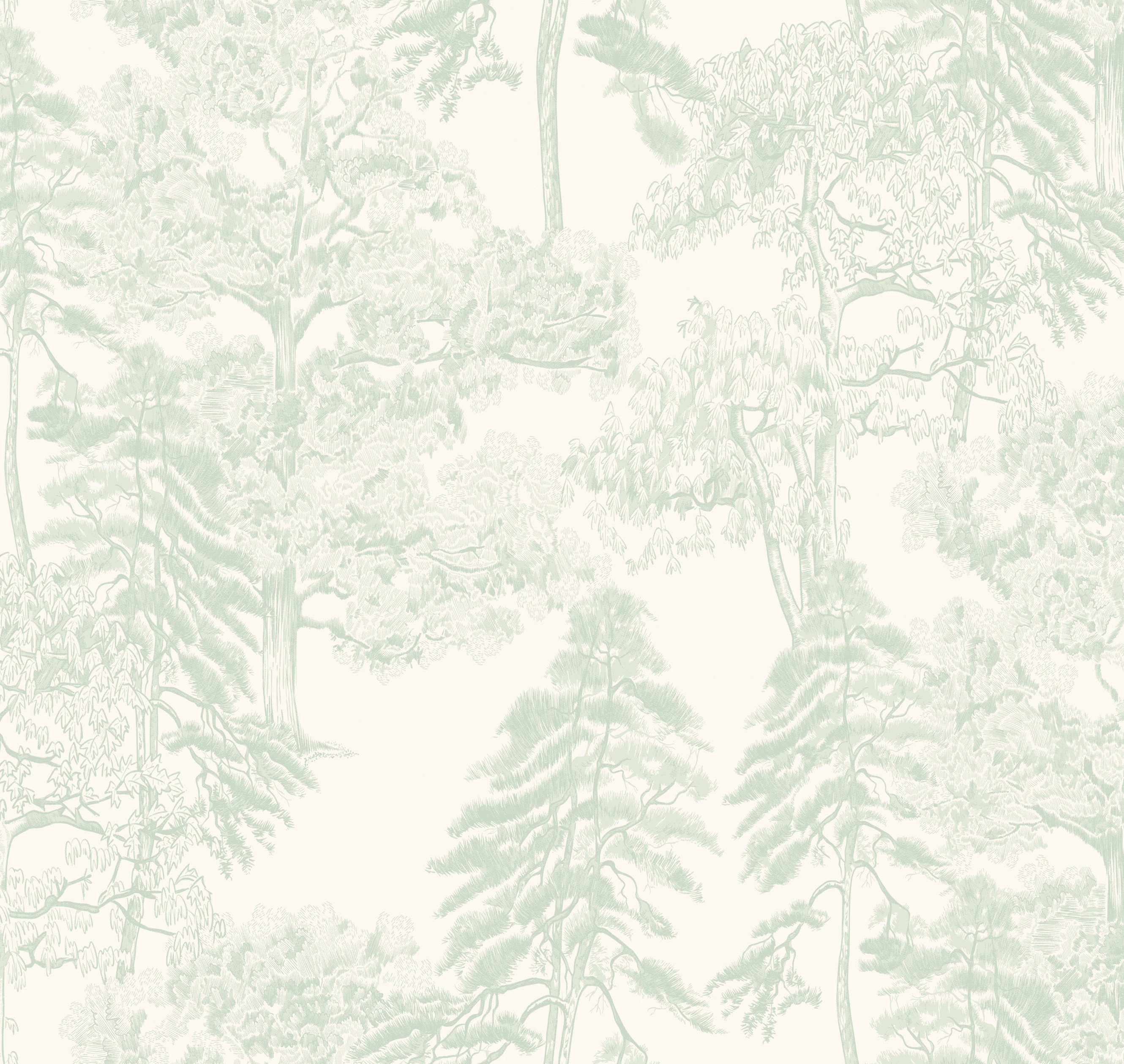 Обои AM5 008/1_0 на сайте OboiVkus.by