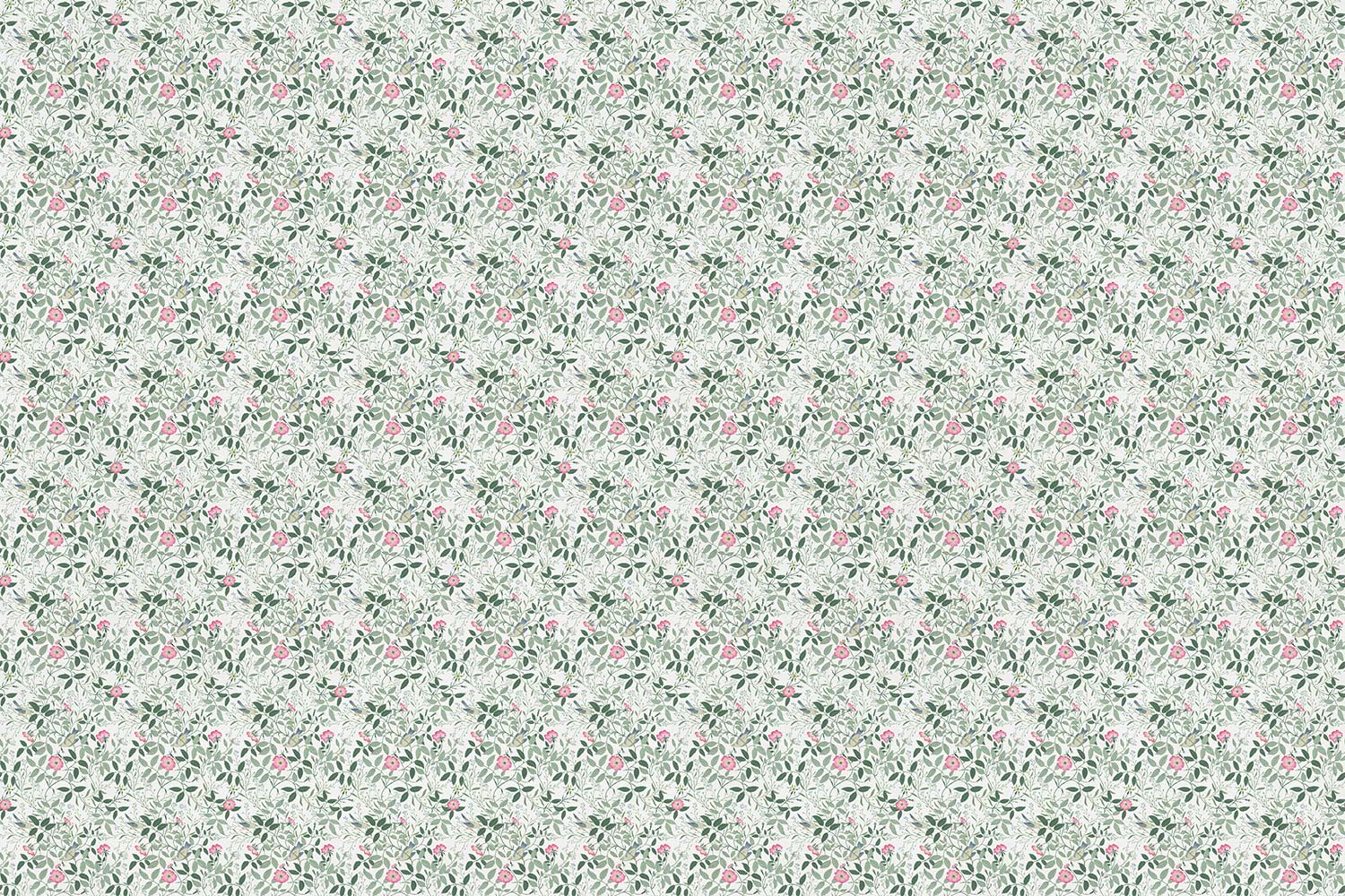 Фотообои и панно Erba Rosa 1_0 на сайте OboiVkus.by